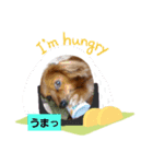 lovely ash（個別スタンプ：8）