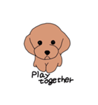A little timid toy poodle（個別スタンプ：2）
