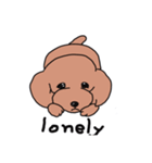 A little timid toy poodle（個別スタンプ：4）