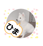 スピッツ 音ちゃん ver2（個別スタンプ：7）