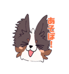 十犬十色！パピヨンスタンプ（個別スタンプ：3）