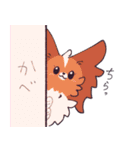 十犬十色！パピヨンスタンプ（個別スタンプ：7）