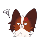 十犬十色！パピヨンスタンプ（個別スタンプ：9）