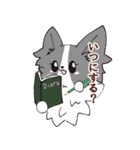 十犬十色！パピヨンスタンプ（個別スタンプ：11）