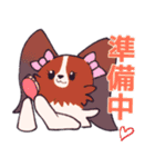 十犬十色！パピヨンスタンプ（個別スタンプ：12）
