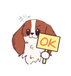 十犬十色！パピヨンスタンプ（個別スタンプ：17）