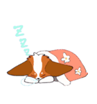 十犬十色！パピヨンスタンプ（個別スタンプ：18）