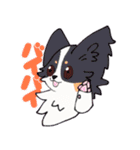 十犬十色！パピヨンスタンプ（個別スタンプ：19）