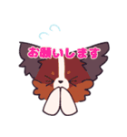 十犬十色！パピヨンスタンプ（個別スタンプ：21）