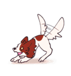 十犬十色！パピヨンスタンプ（個別スタンプ：28）