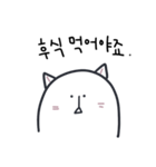 青春 猫 (KOR.ver)（個別スタンプ：5）