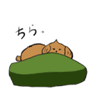 こた先生とおいたろう（個別スタンプ：14）