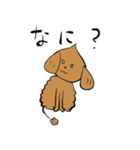 こた先生とおいたろう（個別スタンプ：32）