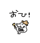 旅するあざらしの活動（個別スタンプ：31）
