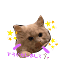 子猫のライぼうや♪第2弾！！（個別スタンプ：2）