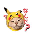 子猫のライぼうや♪第2弾！！（個別スタンプ：6）