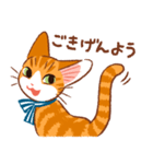マーマレードキャットスタンプ（個別スタンプ：19）