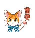 マーマレードキャットスタンプ（個別スタンプ：21）