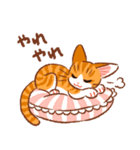 マーマレードキャットスタンプ（個別スタンプ：33）