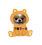 maron   family（個別スタンプ：2）