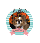 maron   family（個別スタンプ：5）