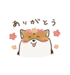 コーギーのHaruo 2（個別スタンプ：3）