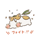 コーギーのHaruo 2（個別スタンプ：4）