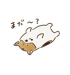 コーギーのHaruo 2（個別スタンプ：16）