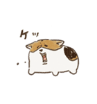 コーギーのHaruo 2（個別スタンプ：19）