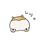 コーギーのHaruo 2（個別スタンプ：31）