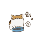 コーギーのHaruo 2（個別スタンプ：33）