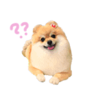 coco.01（個別スタンプ：1）
