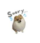 coco.01（個別スタンプ：2）