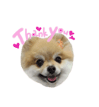 coco.01（個別スタンプ：3）