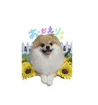 coco.01（個別スタンプ：4）