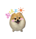 coco.01（個別スタンプ：6）