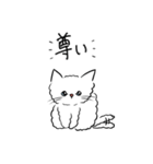 ねこのしゃけ(しゃけ博士)（個別スタンプ：13）