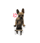 とらたいが（個別スタンプ：4）