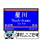 相鉄線 いずみ野線 駅名今まだこの駅です！（個別スタンプ：5）