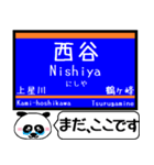 相鉄線 いずみ野線 駅名今まだこの駅です！（個別スタンプ：8）