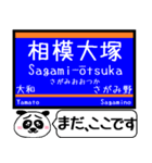 相鉄線 いずみ野線 駅名今まだこの駅です！（個別スタンプ：15）