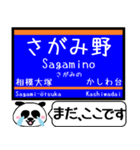 相鉄線 いずみ野線 駅名今まだこの駅です！（個別スタンプ：16）