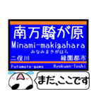 相鉄線 いずみ野線 駅名今まだこの駅です！（個別スタンプ：19）