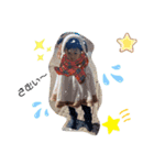 yuria.family.（個別スタンプ：3）