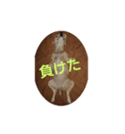 アメコスタンプだよ（個別スタンプ：6）