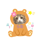 ふわふわなこねこ（個別スタンプ：3）