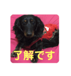 しいなとこはる（個別スタンプ：2）