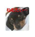 しいなとこはる（個別スタンプ：4）