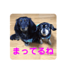 しいなとこはる（個別スタンプ：5）