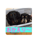 しいなとこはる（個別スタンプ：7）